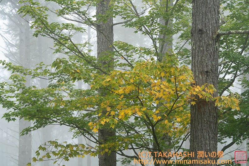 ../Images/7R251004 (29).jpg